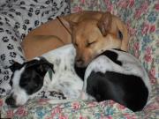 429927_3153210541986_613102045_n