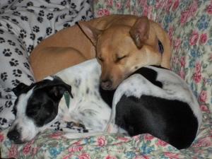 429927_3153210541986_613102045_n