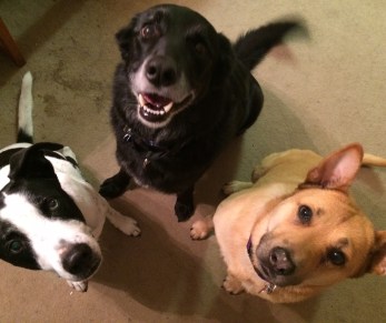 0114f08458459795f68e17027c718b2c4c62bf0ed0