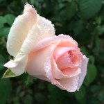 0115618907842aa722800ba925fbac8d4d3631f6aa