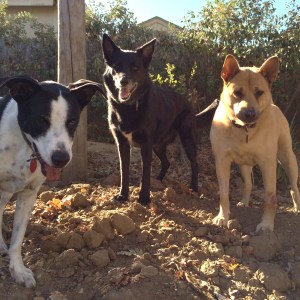 0128873f6b160ea7c52a68e92cfaf057efbfa3efb7