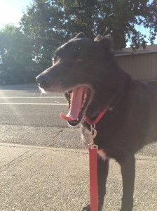 01610a0e35e870509ecc6cc7b1758ac42f58a827c3_00001