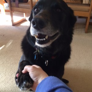 01917faaea1a7013c63109930e8c6618aa886bb080