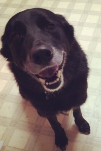 0192439bdd85b9e894ba76f619dc4691bb4b9c622b