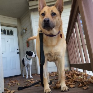 01964fb17245733343366b40acd6205f5f77d7ae6b