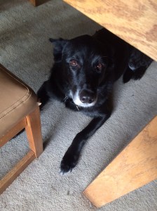 019a715b3d351e034ac3b74f86cbf8448841449755