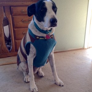 01a8e3caefb2a814a181a8d485dacf3478d1928157