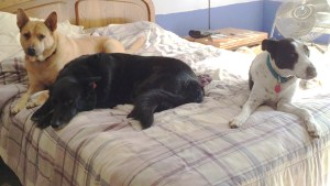 01b75feaa0d0e1cfdfbae74f9b41330109a9bc7fc8