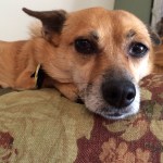 01cf08af59cf3b29c4da9aa6368dbc3e02e6f1f23f