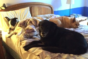 01f94b0bcc1240b96555a4774ceeb3feaec69e6ee4