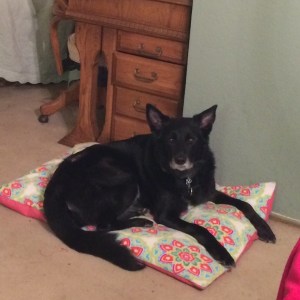 01316511cf9395a55f38ed4bd5c0b62b8a40fa3d93