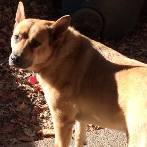 014d52016adf9f73acf889d03fbc45adcd55e00a4e