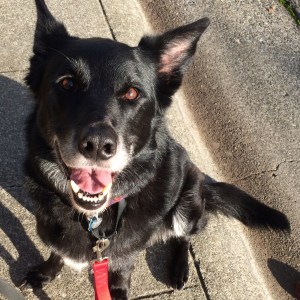 01612ac299b91f19acecd867a03b98fb1c08fbface