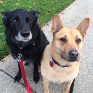 0197ad376d7170d76259ea8f2133ec9152030ec0ee