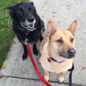 01d6b0189448943bfe1e6c257324a01911dd6046c3