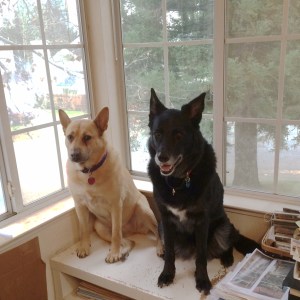 01dc8bfc5816eadcf82789b44fb7512ab3fc83b05d