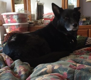 01003d3c9f300b396d2f4da01598e07628d7419301