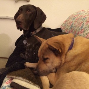 0102a7a6030e6fe2f7d384384b1ee45f7d3f5f1049