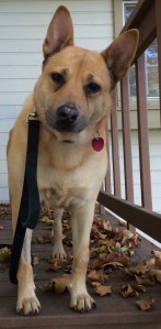 01164e33c769f00646817ce6dadaa00e6b55ebd847