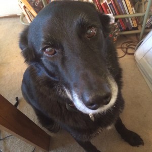 0117f9aa3e8269fd948a09819b0d488ec56f94e920