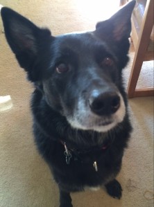 013833740529779bf55282fb4ecf5873e1294c16fb