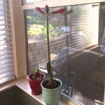 01a1380f9a27e3bd53d73aa5c26efdebdc90203235