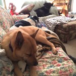 01a75ed7162dd9c89ea071f06a9a76df5630cca546