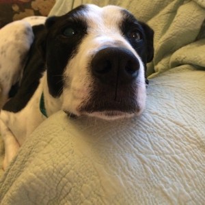 01c81aefc68f3bf9549e1d1f726c94a8697044e666