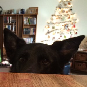 01fad0155e757865ca7d5384f32673a9034f1238ed