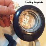 Punching the petals