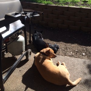 010faefd1557136b125c35f869e3223ae1c44ee5b1