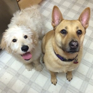 011d1e725d3b3cb0ed8023b8e10bc71482f5964a8f