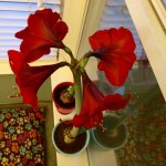 012bedeae97954accd277fd9e32e7359e3de41dca8