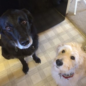 013f5e24a7d64d4cac4232b9ed124ad37d70c9e6a0