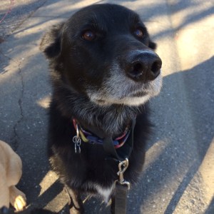 0171fa86a63223cc4c38f9df849488708ecfce1a95