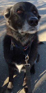 018899a2aabc1fa3579d90aa1880934bd9f5bc5517