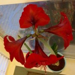 019d1225ca23f8855077f962b7ad4adcff09b0c72d