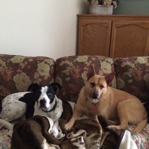 01d592d11ca92ea70ca23ddd0373bf1ca005ed2aa8