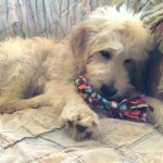 01f4bbd001226633b1e257cd0831b80922b3e78fde