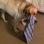 0106601bd26f5d5c1b4ed4cab770d7fa7cf7bf9c45