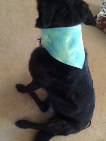 010b22a015fbbfa561d8942fbb730f97b2a4d3791a