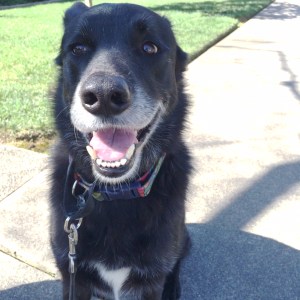 012a80f02716ddd10beb4c96473399129f6136caf3