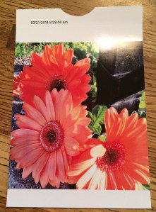 013a9899e311648400fe49b6931bd5ed4fa011d4ff