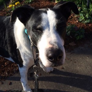 015aa4adb1063c77fe7754118378e3064b01edebcd