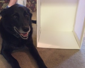 019e2140cfe5b32181e5b8102a53e583c426bbab60