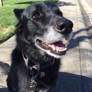 01a70356d9689d58e739550b6aa1ff3096366d718f