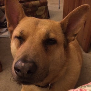 01b88b394f9969008edb7bb17cc28a4c8d3faab79e