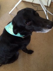 01da2ac1f17f8e23fa0dc10f40302353ae3f1eaac3