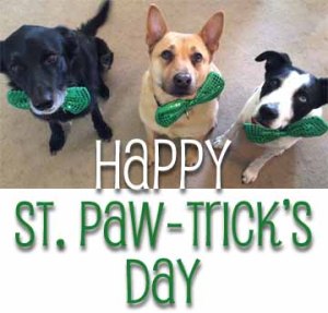 Happy St Pawtricks Day