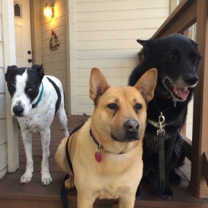 0110f91ce88b357c02827aacf62cc48783a82fc836